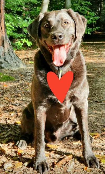 Lieblingsbild-Beitrag-Bild