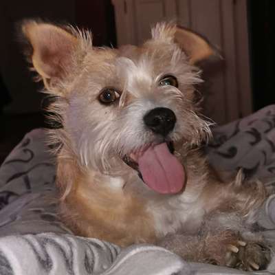 147. Foto Challenge: Bettelblick-Beitrag-Bild