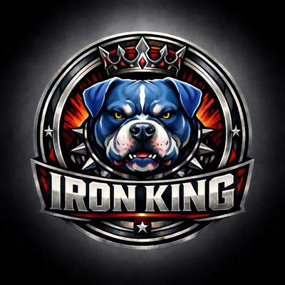 Iron's Profilbild
