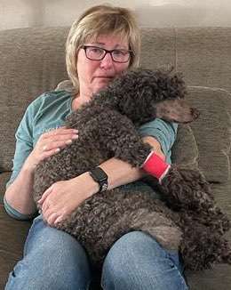 Unsere Fellnasen im Regenbogenland-Beitrag-Bild