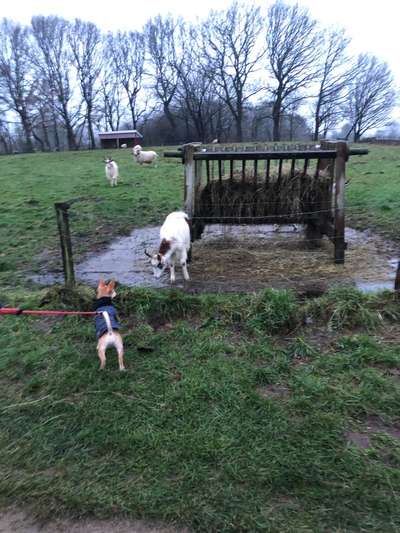 17. Handyfoto – Challenge-Beitrag-Bild