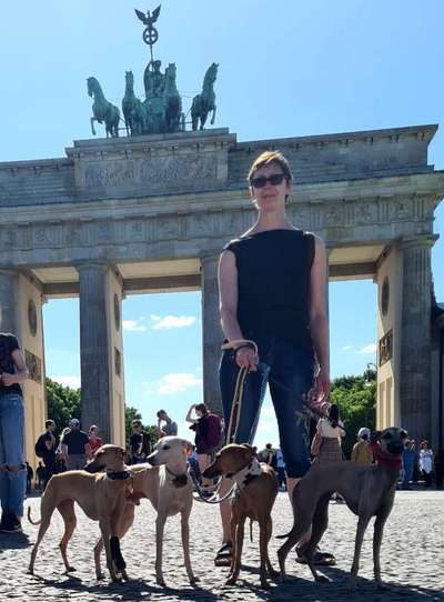 Windhundtreffen - PLZ-Beitrag-Bild