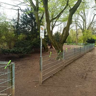 Hundeauslaufgebiet-Volksgarten-Bild