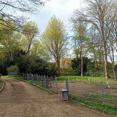 Hundeauslaufgebiet-Südring-Bild