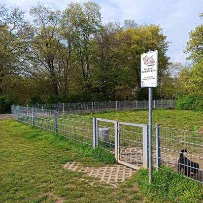 Hundeauslaufgebiet-Nordpark-Bild