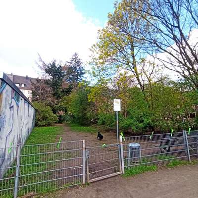 Hundeauslaufgebiet-Merkurstraße-Bild