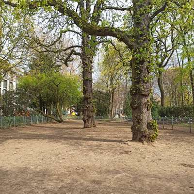 Hundeauslaufgebiet-Im Hofgarten-Bild