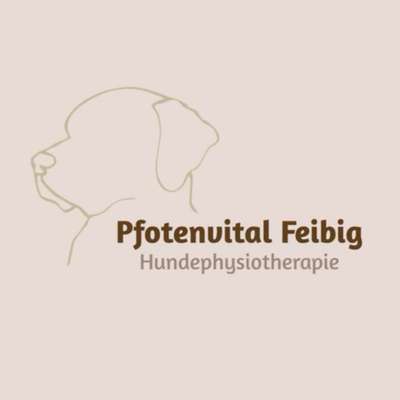 Gassi-Services-Pfotenvital-Feibig-Bild