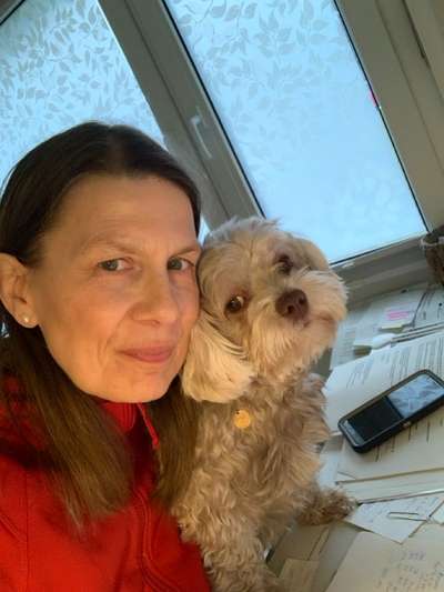 🐶 Sind Bürohunde jetzt VERBOTEN?! 😱-Beitrag-Bild