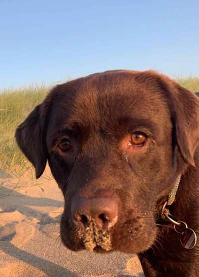 Dogorama Photo Challenge - Details Ganz nah-Beitrag-Bild