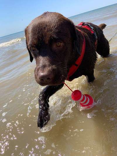 Fotochallenge 27-Beitrag-Bild