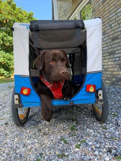 CHALLENGE NR. 18 - ON TOUR-Beitrag-Bild