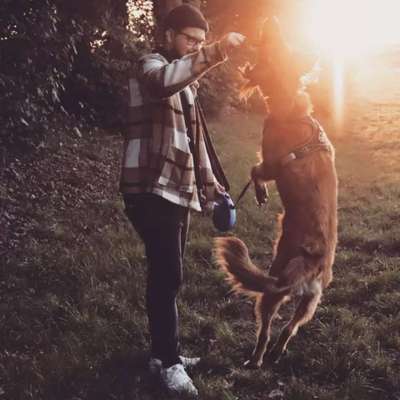 Hundetreffen-Trainings und Gassi/Spiel Partner gesucht