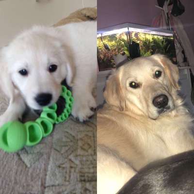 Vorher.... Nachher-Beitrag-Bild