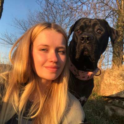 Hundetreffen-Gassi-Treff Marbach-Profilbild