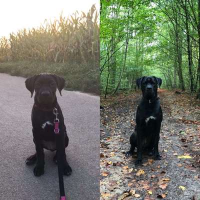 Vorher.... Nachher-Beitrag-Bild