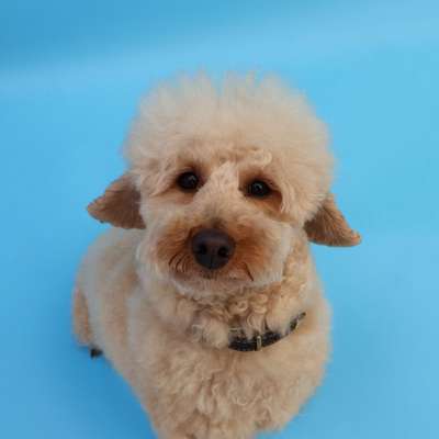 Charlie's Profilbild