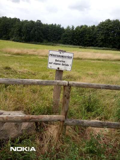 Hundeauslaufgebiet-Schulacker Feld-Bild