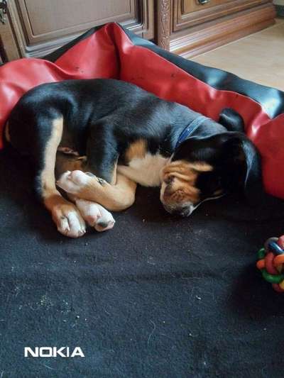 Sie werden so schnell erwachsen ...-Beitrag-Bild