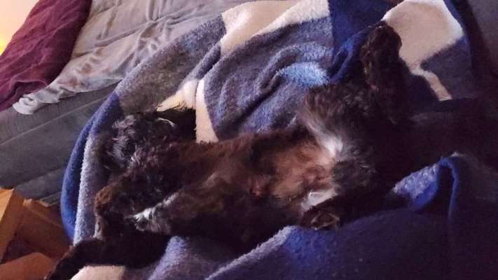 Fotochallenge Nr.65-Beitrag-Bild