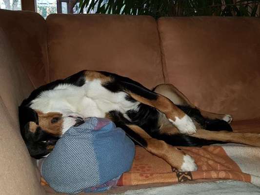 Die unbequemsten und lustigsten Schlafpositionen-Beitrag-Bild