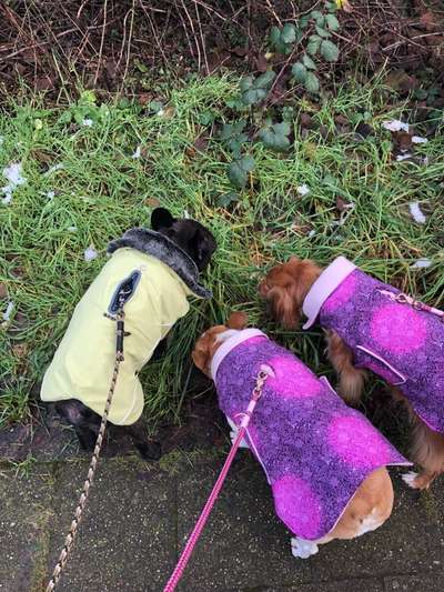 Pullis, Jacken, Hütte und alles sonstiges-Beitrag-Bild