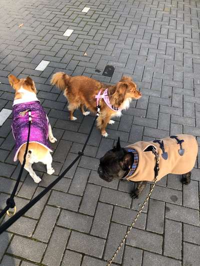 Pullis, Jacken, Hütte und alles sonstiges-Beitrag-Bild