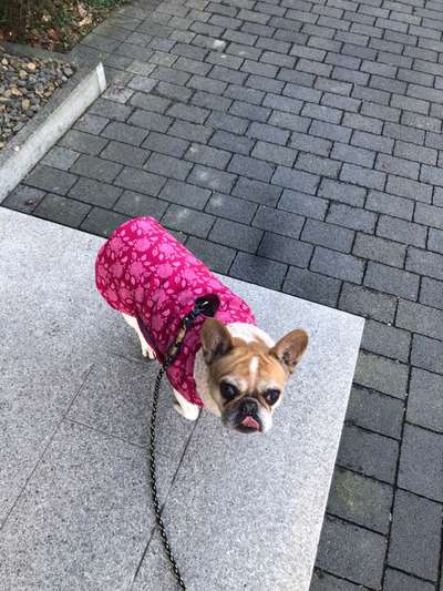 Pullis, Jacken, Hütte und alles sonstiges-Beitrag-Bild