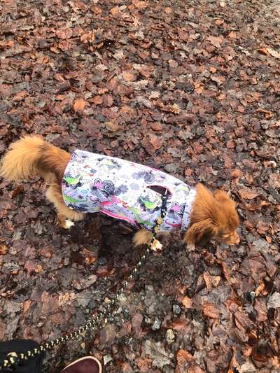 Pullis, Jacken, Hütte und alles sonstiges-Beitrag-Bild