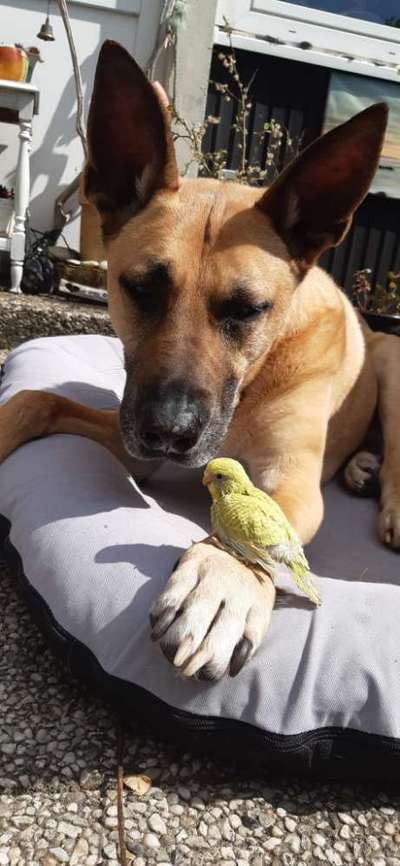 18. Handy - Foto - Challenge-Beitrag-Bild