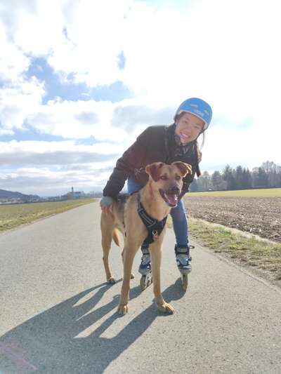 Hunde vom Tierschutzverein 🐕♥️-Beitrag-Bild