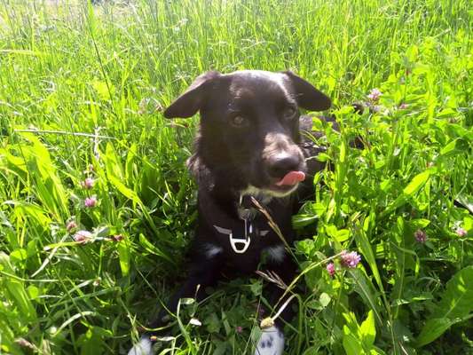 Tongue Out Tuesday-Beitrag-Bild