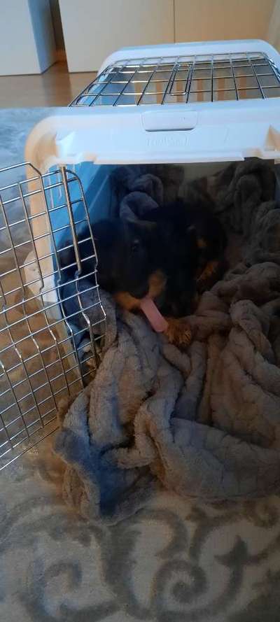 Handyfoto challenge Nr. 13: Waschlappen raus!-Beitrag-Bild