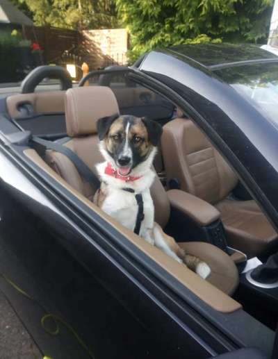 Fotochallenge Nr 50 Vom Winde verweht-Beitrag-Bild