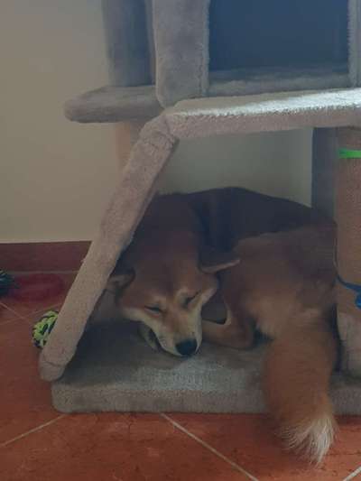 4. Lustiger Schlafplatz-Beitrag-Bild