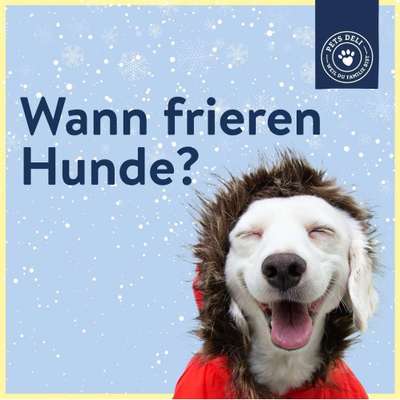 Ab wann ist ein Wintermantel sinnvoll?-Beitrag-Bild