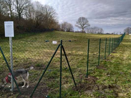 Hundeauslaufgebiet-Hundeauslauffläche Lütjenburg-Bild