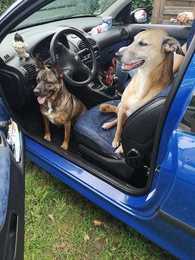 117. Fotochallenge-Beitrag-Bild