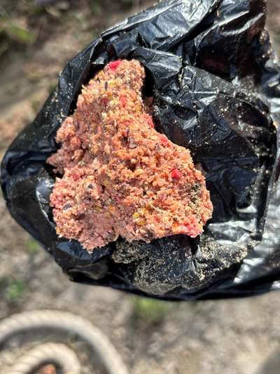 Giftköder-Undefinierbares "Hackfleisch"-Bild