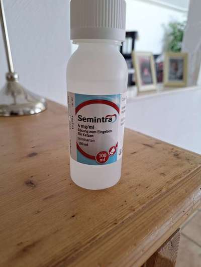 Angehendes Nierenversagen 2 Jähriger Rüde-Beitrag-Bild