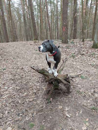 Fotowettbewerb Natur-Beitrag-Bild