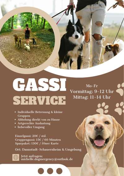 Hundetreffen-Gassiservice-Bild