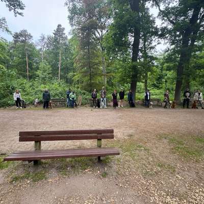 Hundetreffen-Social Walk mit toller Gruppe 🐶🐕🦮🐕‍🦺🐾-Bild