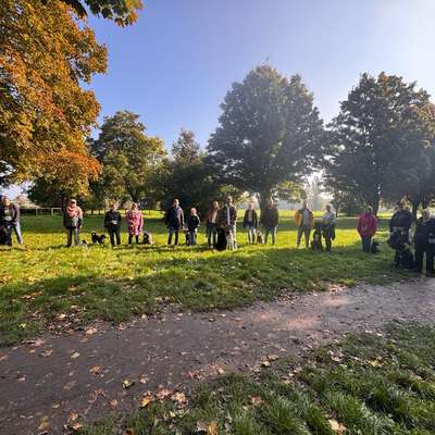 Hundetreffen-Social Walk mit toller Gruppe 🐶🐕🦮🐕‍🦺🐾-Bild