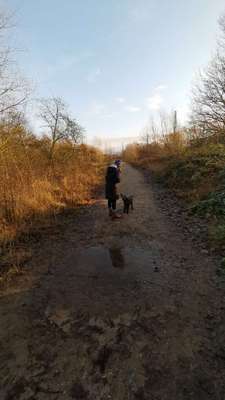 Hundeauslaufgebiet-Talstraße-Bild