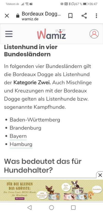 Lieblings "nervige Sprüche"-Beitrag-Bild