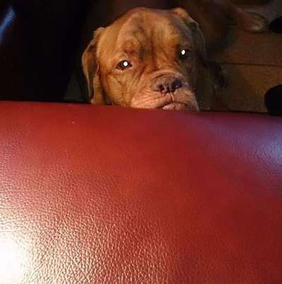 Unsere Sternchen ******-Beitrag-Bild