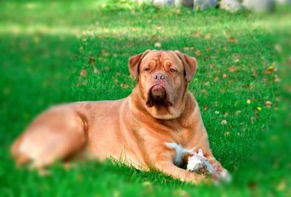 Unsere Sternchen ******-Beitrag-Bild