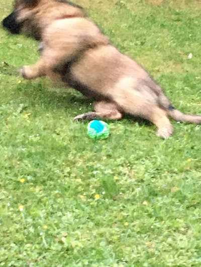 Un...scharf Bilder-Beitrag-Bild