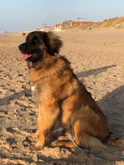 Lieblingsbild-Beitrag-Bild